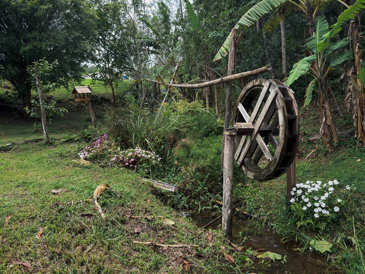 Rede no verde do Sítio Rhein|Dorf em Marechal Floriano ES · trilhas e desaceleração nas montanhas capixabas