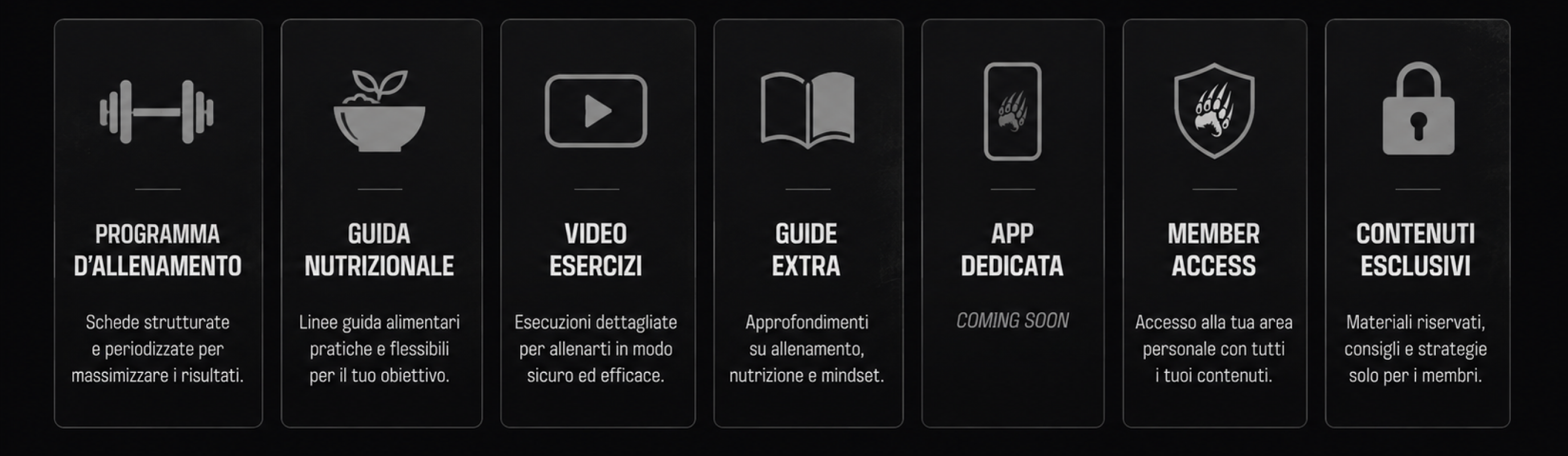 Fase 3 — Picco